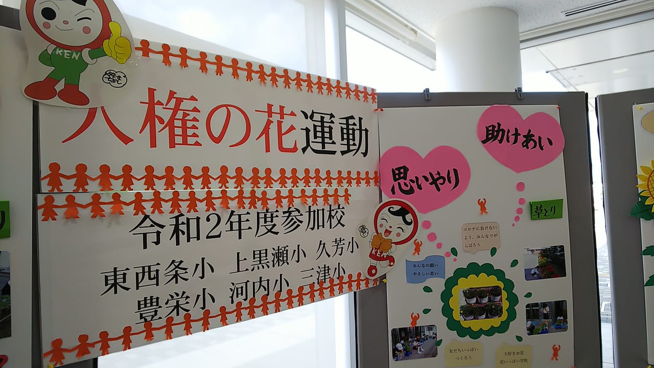 東広島市ロビー展示『人権の花運動』