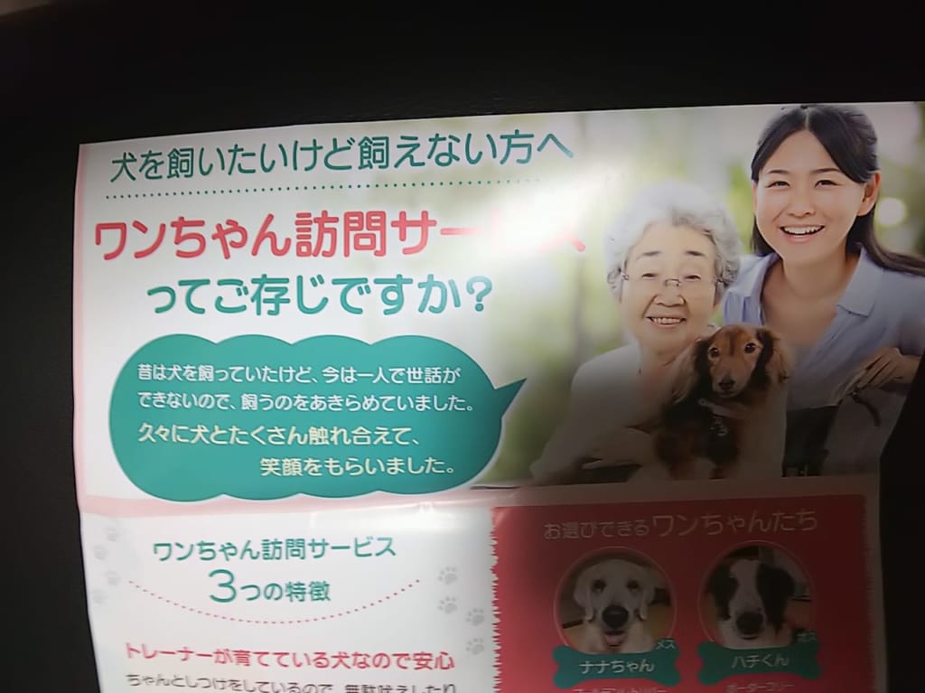 ワンちゃん訪問サービスのチラシ