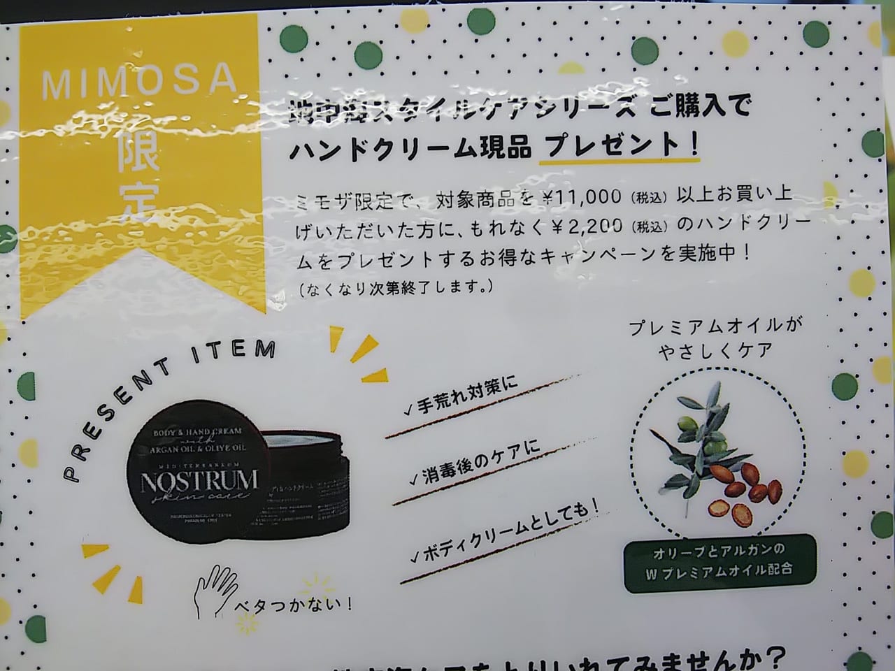 コスメと雑貨の専門店 ミモザ [Mimosa]「ノストラム」のキャンペーン