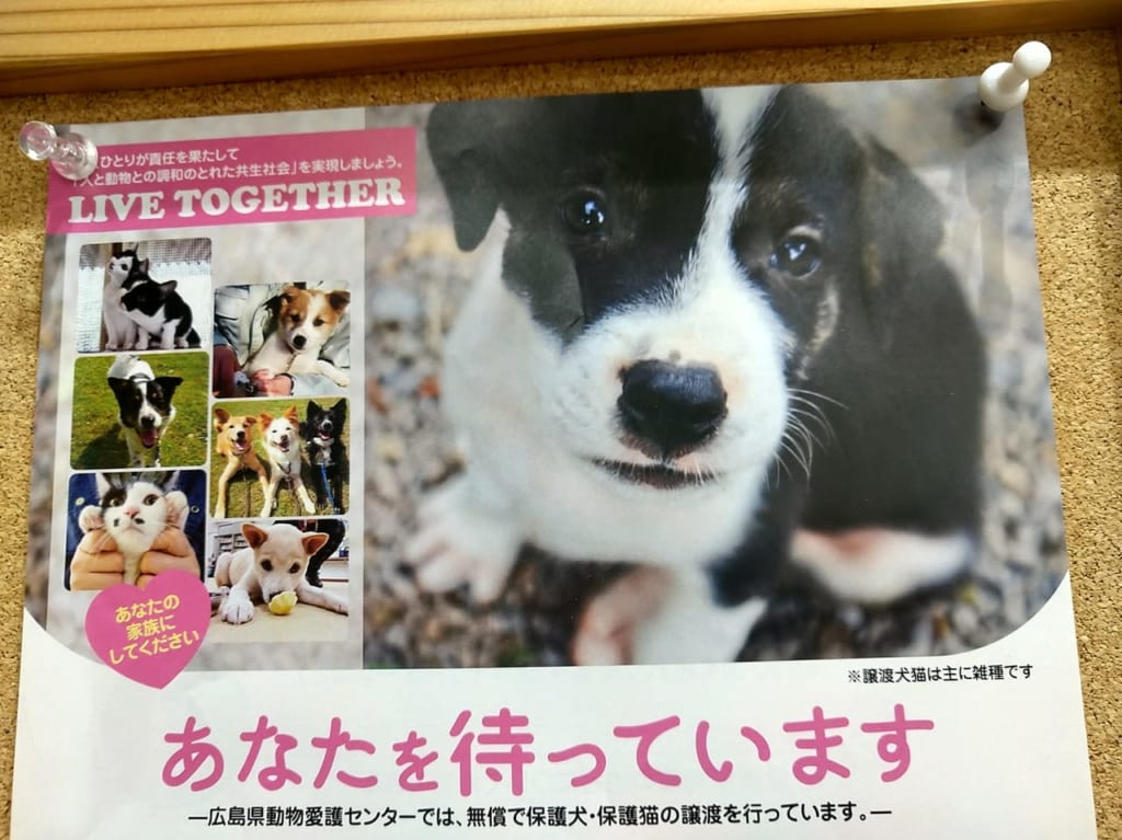 「広島県動物愛護センター」の犬猫譲渡講習会のチラシ