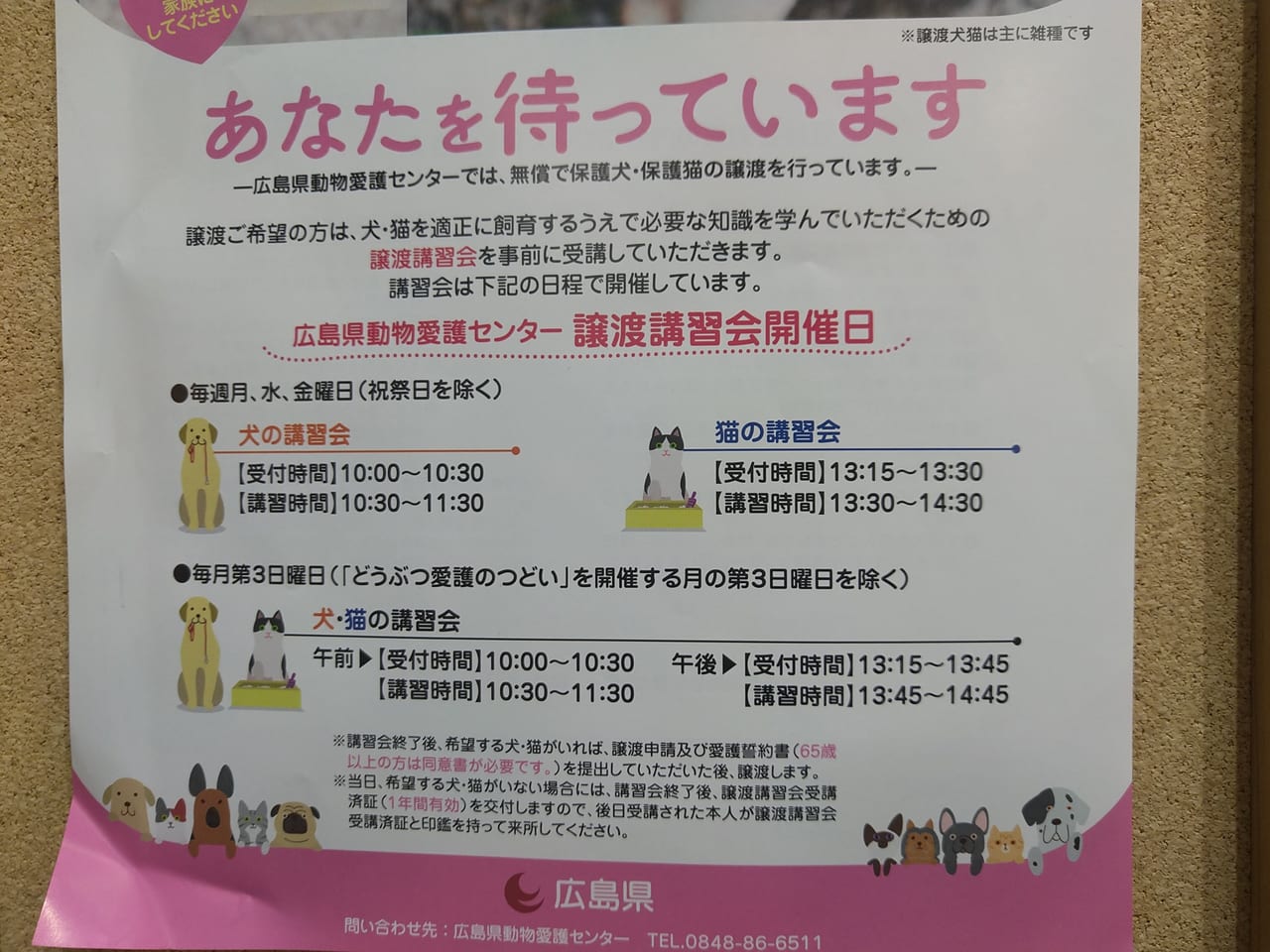 「広島県動物愛護センター」の犬猫譲渡講習会のチラシ