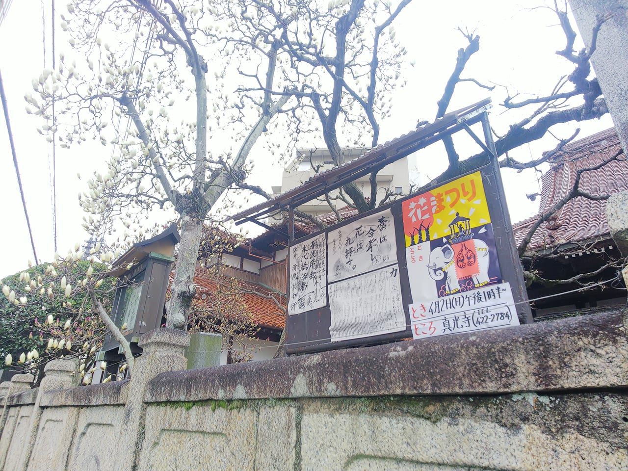 東広島市西条西本町にある真光寺のお知らせ掲示板。
