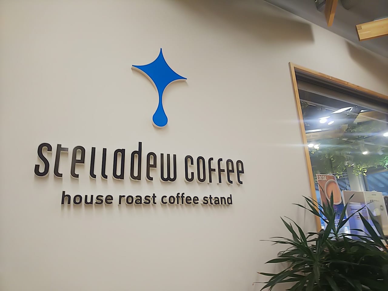 stelladew coffee西条のん太の酒蔵店